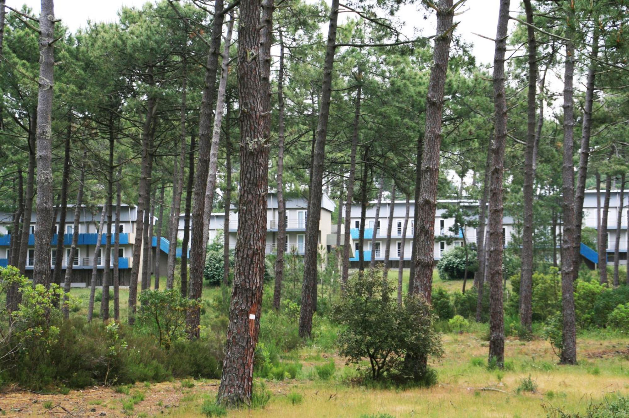 Village Vacances Les Dunes - Domaine De Bombannes Carcans Exterior photo